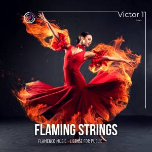 Flaming Strings  HIT RADIO